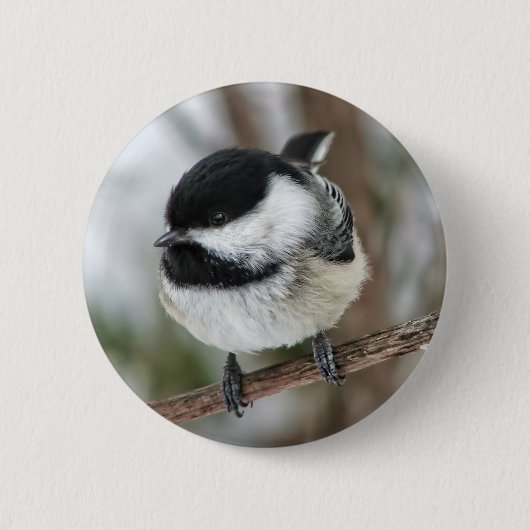 Badge Rond 5 Cm Petit Chickadee mignon (Devant)
