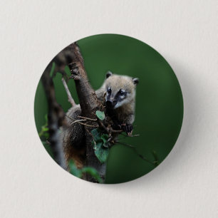 Badge Rond 5 Cm Petit coati de vauriens - lémur