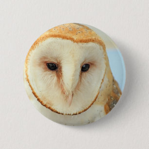 Badge Rond 5 Cm Petit-duc