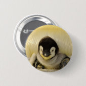 Badge Rond 5 Cm Petit pingouin (Devant & derrière)