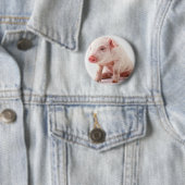 Badge Rond 5 Cm Petit porc (En situation)