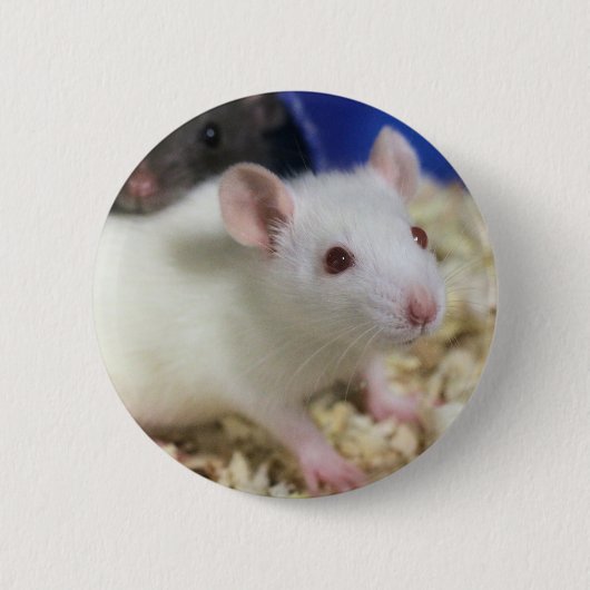 Badge Rond 5 Cm Petit rat (Devant)