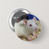 Badge Rond 5 Cm Petit rat (Devant & derrière)