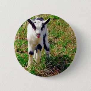 Badge Rond 5 Cm Petit spot