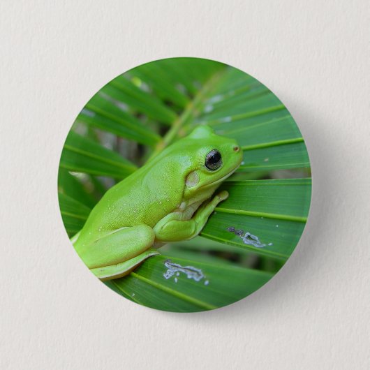 Badge Rond 5 Cm Petite grenouille verte (Devant)