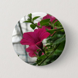 Badge Rond 5 Cm Petunia