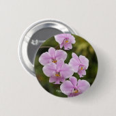 Badge Rond 5 Cm Phalaenopsis Schilleriana (Devant & derrière)