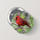 Badge Rond 5 Cm Photo cardinale du nord (Devant & derrière)