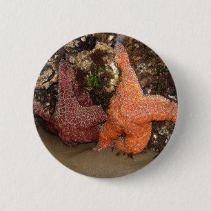 Badge Rond 5 Cm Photo couleur 3 Starfish/Sea Star Photo en Oregon