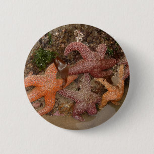 Badge Rond 5 Cm Photo couleur (4) Starfish/Sea Star chez Haystack