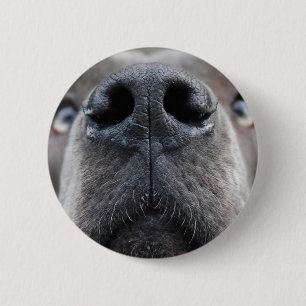 Badge Rond 5 Cm Photo de Dogue Allemand