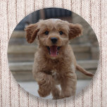 Badge Rond 5 Cm Photo de l'animal | Photo Télécharger un chien ado<br><div class="desc">Personnalisez votre propre modèle pour inclure votre photo préférée de votre chien, chat, animaux de compagnie, bébé, enfants, famille ou amis! Un modèle facile à personnaliser pour faire votre propre design avec votre propre image. Le cadeau parfait pour un être cher ! L'image montrée n'est à des fins d'illustration que...</div>