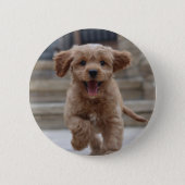 Badge Rond 5 Cm Photo de l'animal | Photo Télécharger un chien ado (Devant)