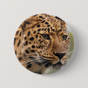 Badge Rond 5 Cm Photo de léopard