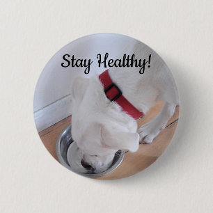 Badge Rond 5 Cm Photo de mignon chien de l'eau potable Motivationa