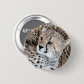 Badge Rond 5 Cm Photo mignonne de CUB de guépard (Devant & derrière)