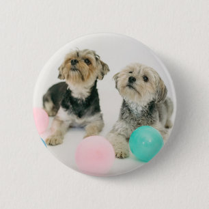 Badge Rond 5 Cm Photo pour animaux de compagnie personnalisée ou b