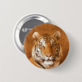 Badge Rond 5 Cm Photo Tiger Portrait (Devant & derrière)