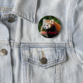 Badge Rond 5 Cm Photographie d'animal de Panda rouge (En situation)