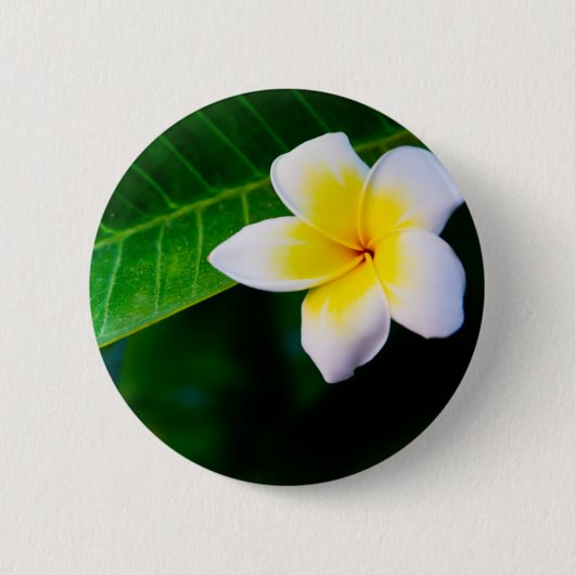 Badge Rond 5 Cm Photographie de fleurs de plumeria (Devant)