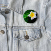 Badge Rond 5 Cm Photographie de fleurs de plumeria (En situation)