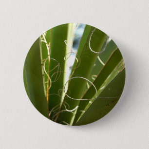 Badge Rond 5 Cm Photographie de la nature verte Feuille du Yucca