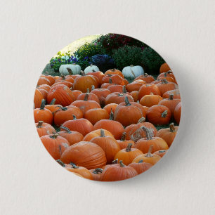 Badge Rond 5 Cm Photographie de récolte d'automne des citrouilles