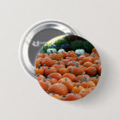 Badge Rond 5 Cm Photographie de récolte d'automne des citrouilles (Devant & derrière)