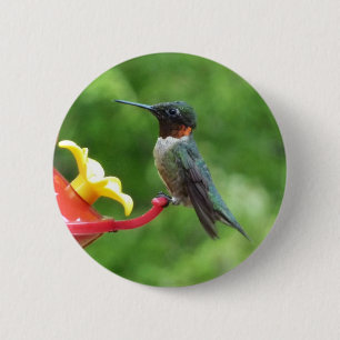 Badge Rond 5 Cm Photographie d'oiseau de colibri à gorge rubis