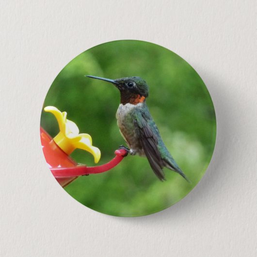 Badge Rond 5 Cm Photographie d'oiseau de colibri à gorge rubis (Devant)