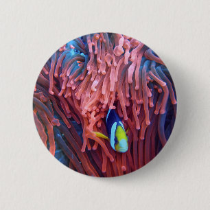 Badge Rond 5 Cm Photos aquatiques nautiques Photographie d'animaux