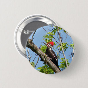 Badge Rond 5 Cm Pic pilé
