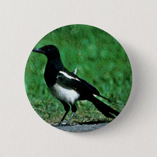 Badge Rond 5 Cm Pie (Devant)