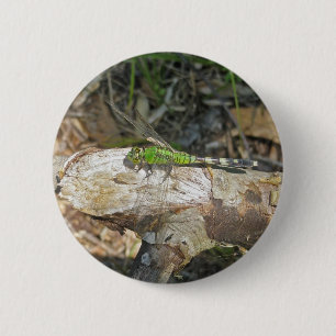 Badge Rond 5 Cm Pièces coordonnées de libellules de Pondhawk orien