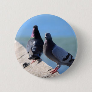 Badge Rond 5 Cm Pigeon