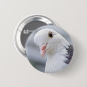 Badge Rond 5 Cm Pigeon (Devant & derrière)