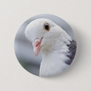 Badge Rond 5 Cm Pigeon