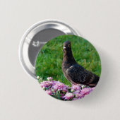 Badge Rond 5 Cm Pigeon et maman (Devant & derrière)