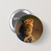 Badge Rond 5 Cm pika (Devant & derrière)