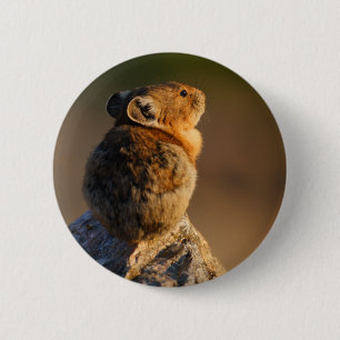 Badge Rond 5 Cm pika