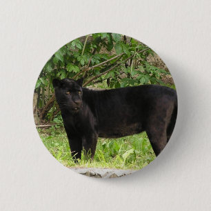 Badge Rond 5 Cm Pin arpentant de panthère