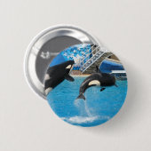 Badge Rond 5 Cm Pin de baleines d'orque (Devant & derrière)