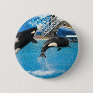 Badge Rond 5 Cm Pin de baleines d'orque