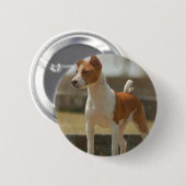 Badge Rond 5 Cm Pin de Basenji (Devant & derrière)