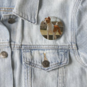 Badge Rond 5 Cm Pin de Basenji (En situation)