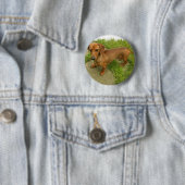 Badge Rond 5 Cm Pin de Daschund (En situation)