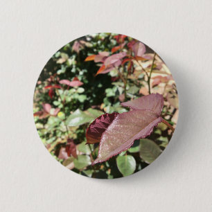 Badge Rond 5 Cm Pin de feuille