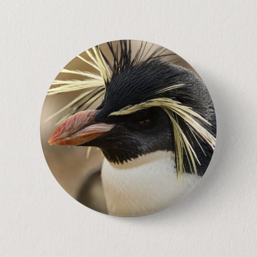Badge Rond 5 Cm Pin de pingouin de Rockhopper (Devant)