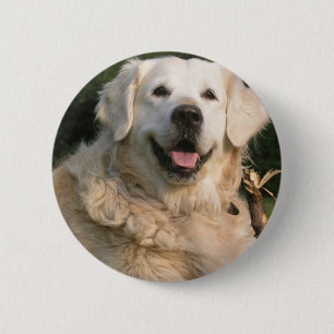 Badge Rond 5 Cm Pin doux de golden retriever