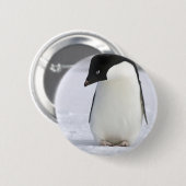Badge Rond 5 Cm Pin isolé de pingouin (Devant & derrière)
